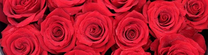 Valentine’s Day 2026