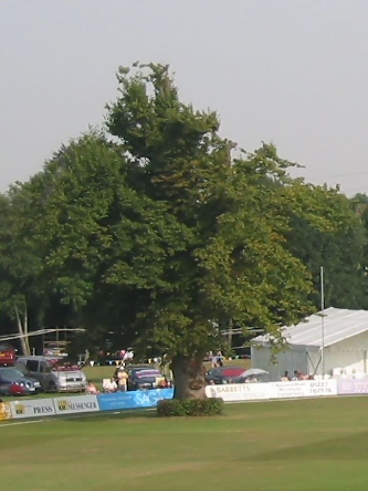 County cricket