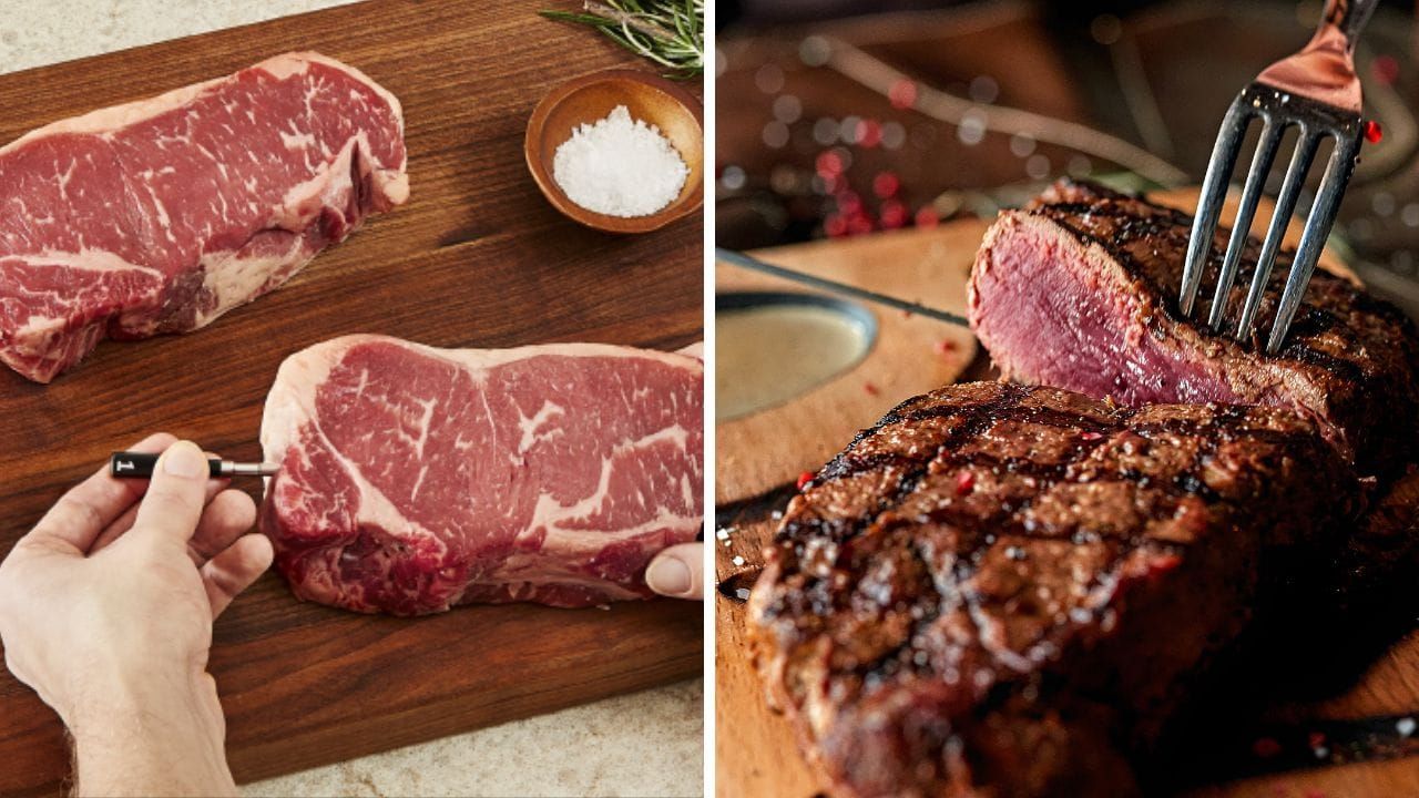Chef IQ Sense Smart Wireless Meat Thermometer: Cook Perfect Meat Every Time