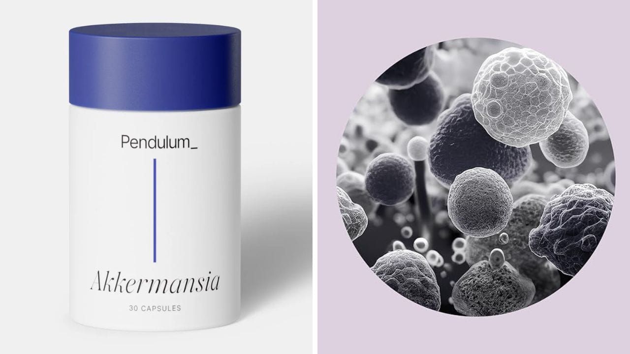 Discover the Benefits of Pendulum Akkermansia Probiotic for Gut Health