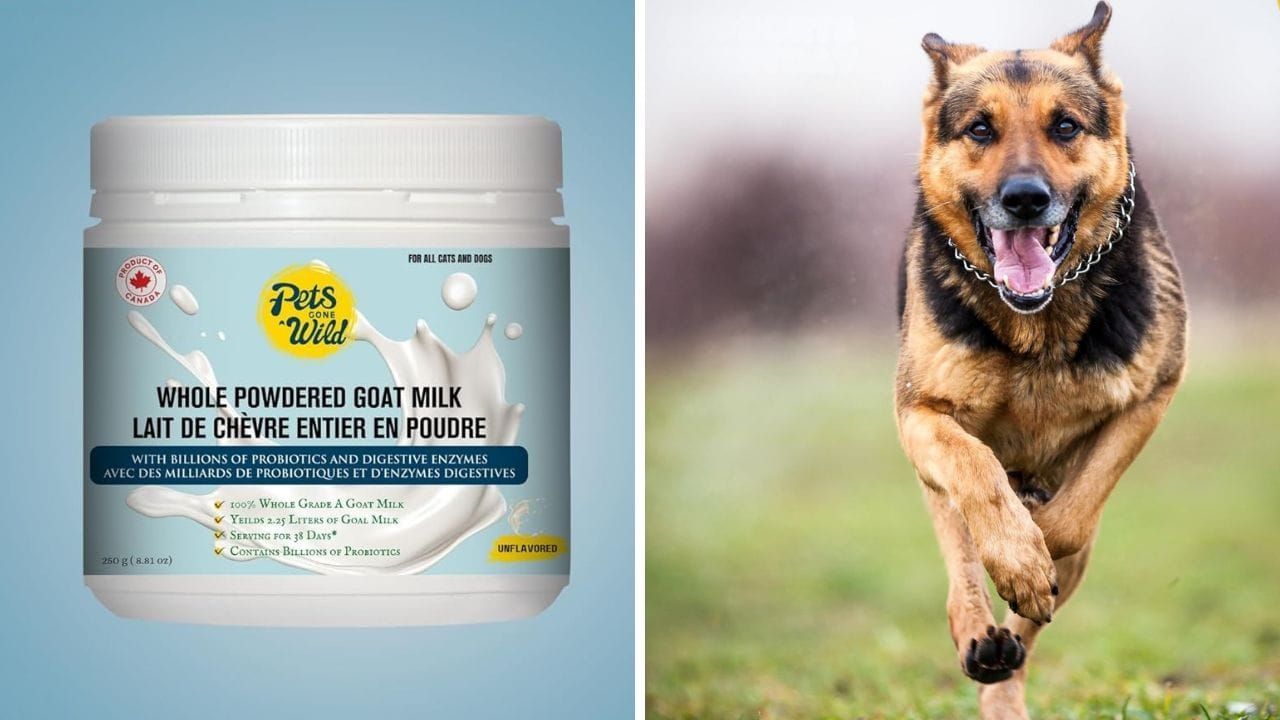 Raw Goat Milk Powder: Pets Gone Wild Raw Goat Milk Powder Review