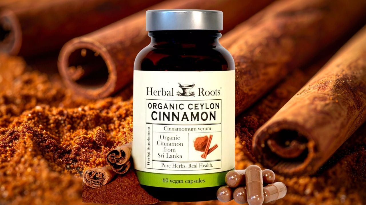 Beyond the Spice Rack: The Powerful Health Benefits of Herbal Roots Organic Ceylon Cinnamon