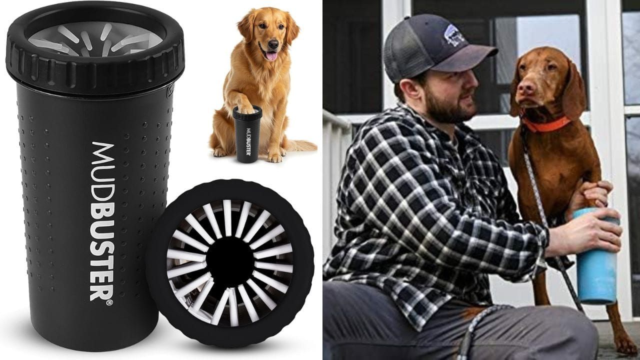 Dog Paw Washer: Dexas MudBuster Portable Dog Paw Washer Review