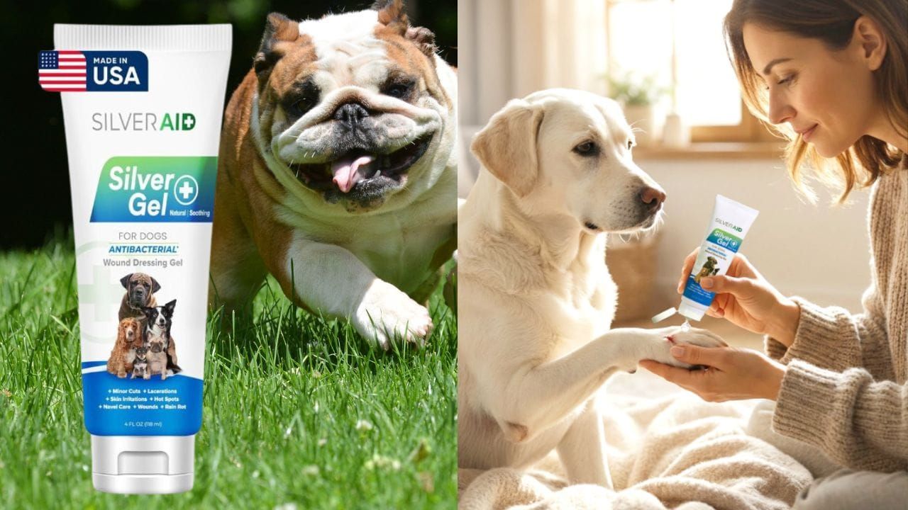 Dog Wound Care Solution: SilverAid Hot Spot Gel
