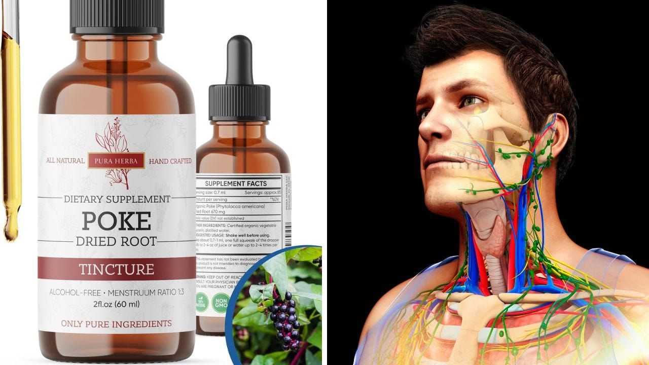 Pura Herba Organic Poke Root Tincture: For Lymphatic Support