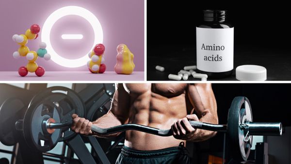 Best Amino Acid Supplement: The Ultimate Guide to the Best Supplements