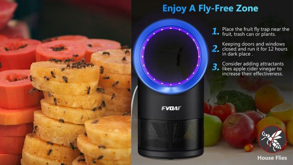 Fruit Fly Trap for Indoors: Here’s the Secret Weapon You Need