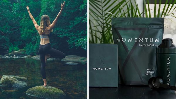 Momentum Shake: Why This Is the Ultimate Nutrition Boost You Need in Your Life