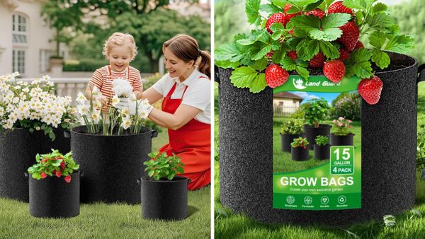 Land Guard Fabric Grow Bags: Why These Grow Bags Are a Must-Have for Your Plants