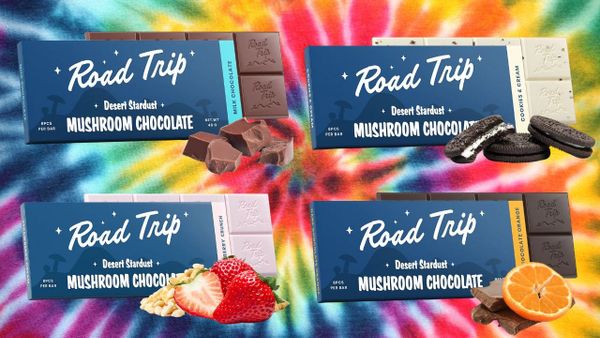 Road Trip Magic Mushroom Chocolate Bars: Your Ultimate Psychedelic Snack