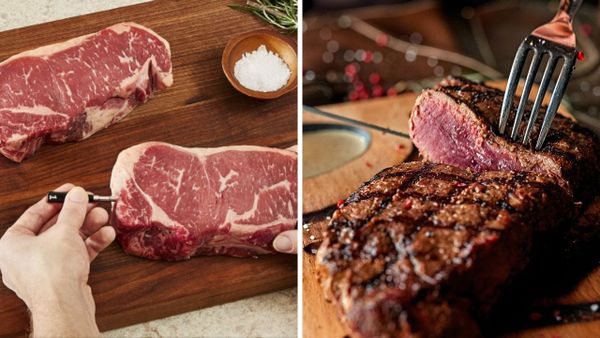 Chef IQ Sense Smart Wireless Meat Thermometer: Cook Perfect Meat Every Time