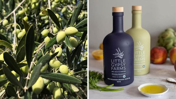 Little Gypsy Farms: Why Little Gypsy Farms EVOO is a Must-Have for Every Kitchen