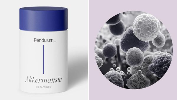 Discover the Benefits of Pendulum Akkermansia Probiotic for Gut Health
