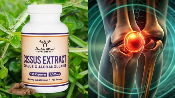 The Best Double Wood Cissus Quadrangularis Extract Supplement for You