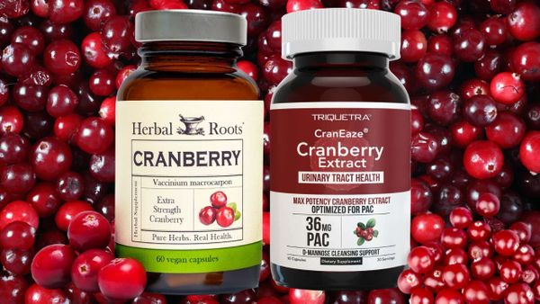 Cranberry Supplement: Discovery the Best for Urinary Health Support