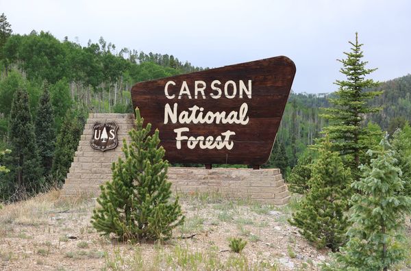 $10,000 reward for information on IED placements in New Mexico forest