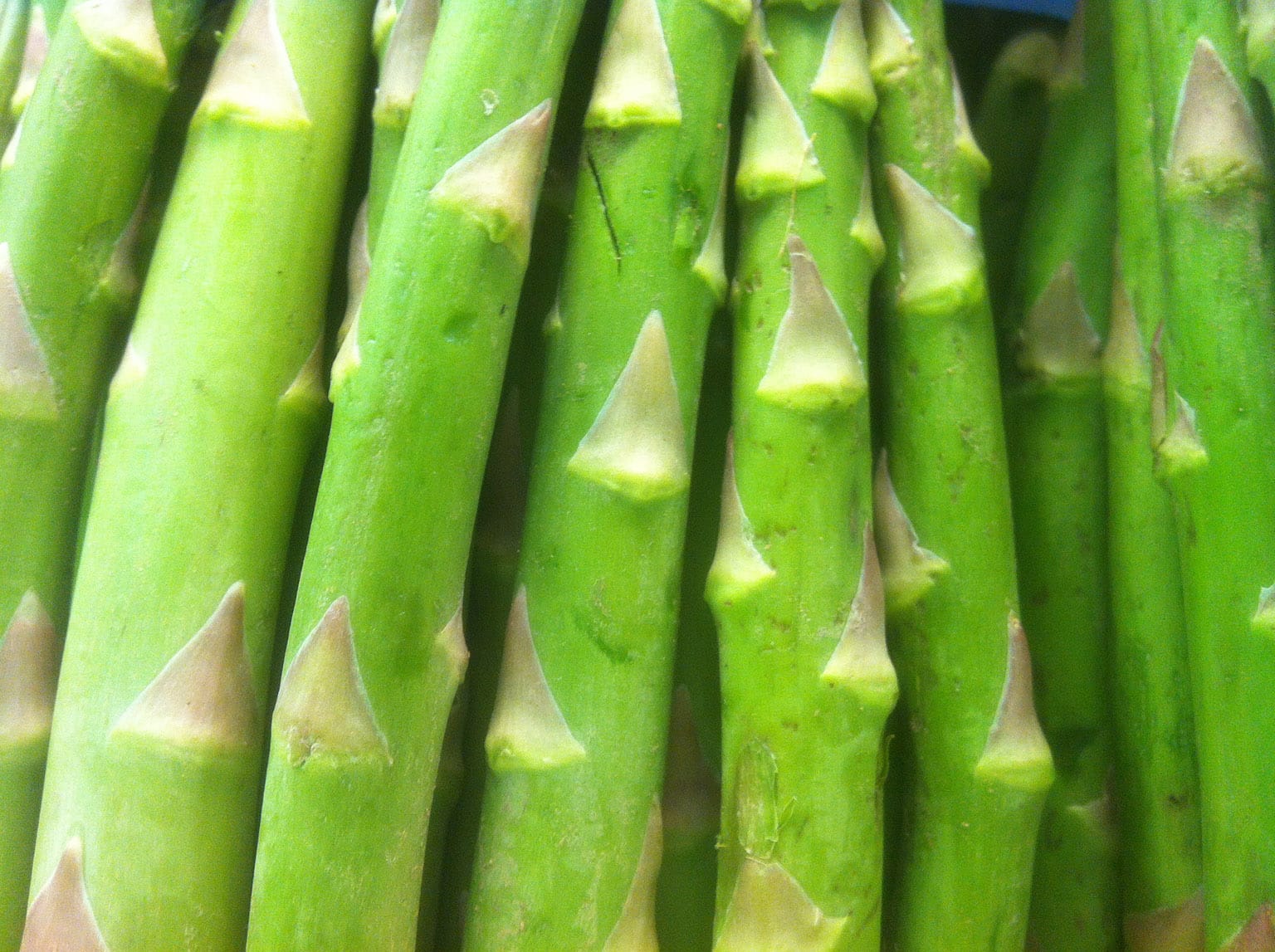 Green asparagus