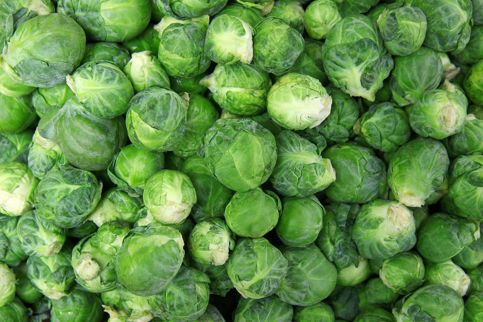 Green Brussels sprouts