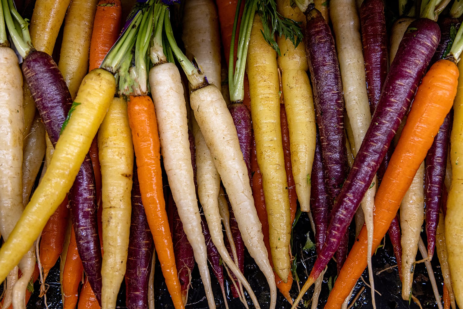 All the colors of carrots