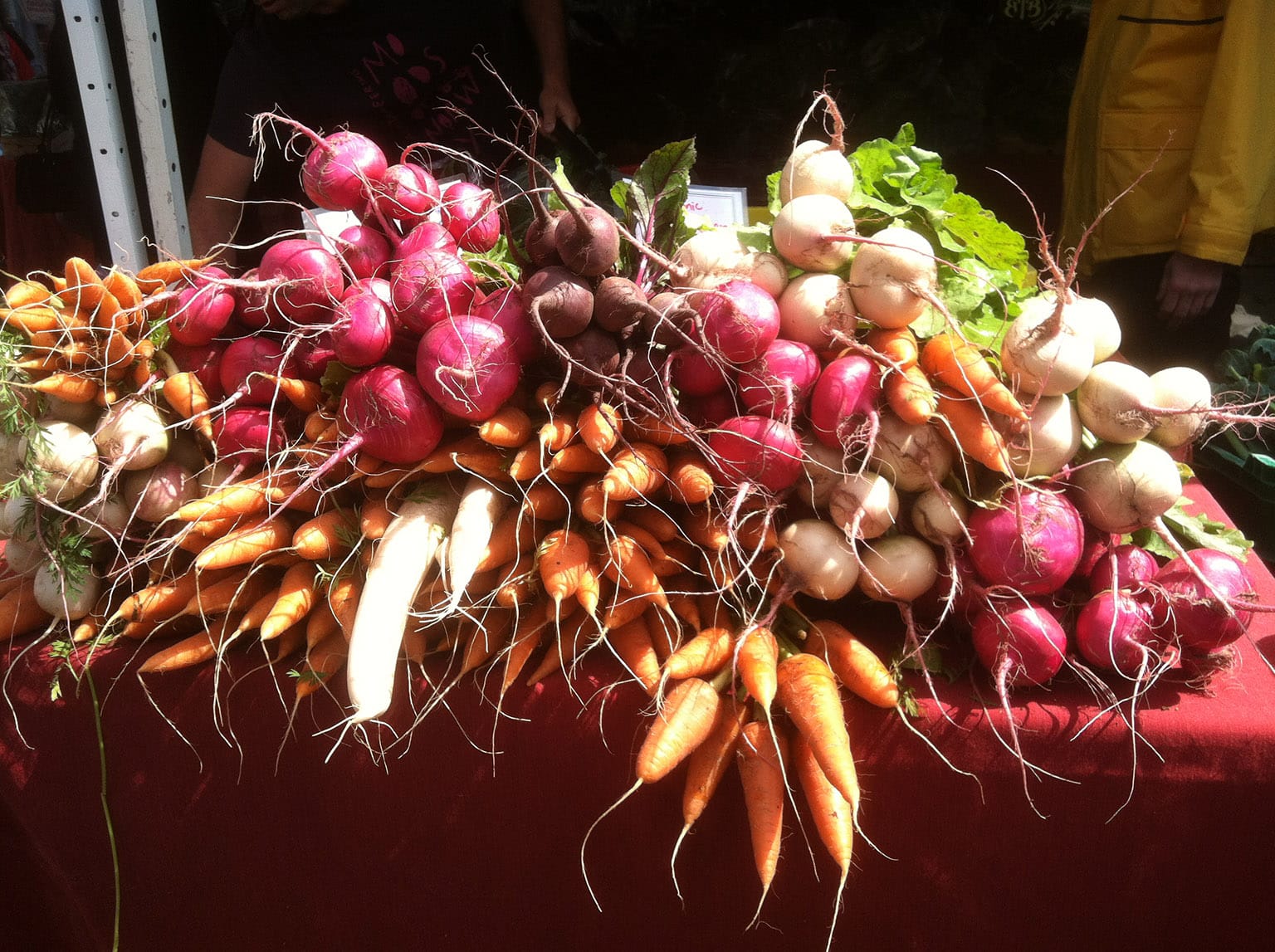 An assortment of fresh-picked produce; beets, carrots, 