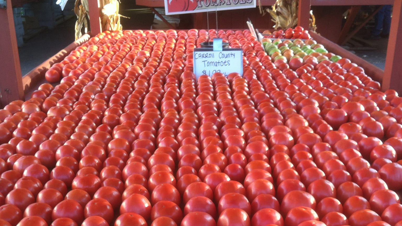 Red Carroll County tomatoes