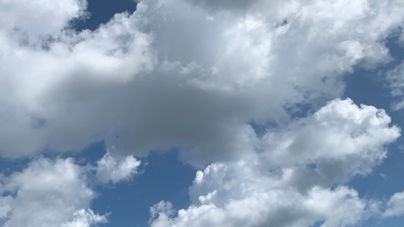 A patch of sky with blue showing between complicated cumulus clouds, their edges in little lumps and shreds, with a patch of neutral textureless gray toward the middle.