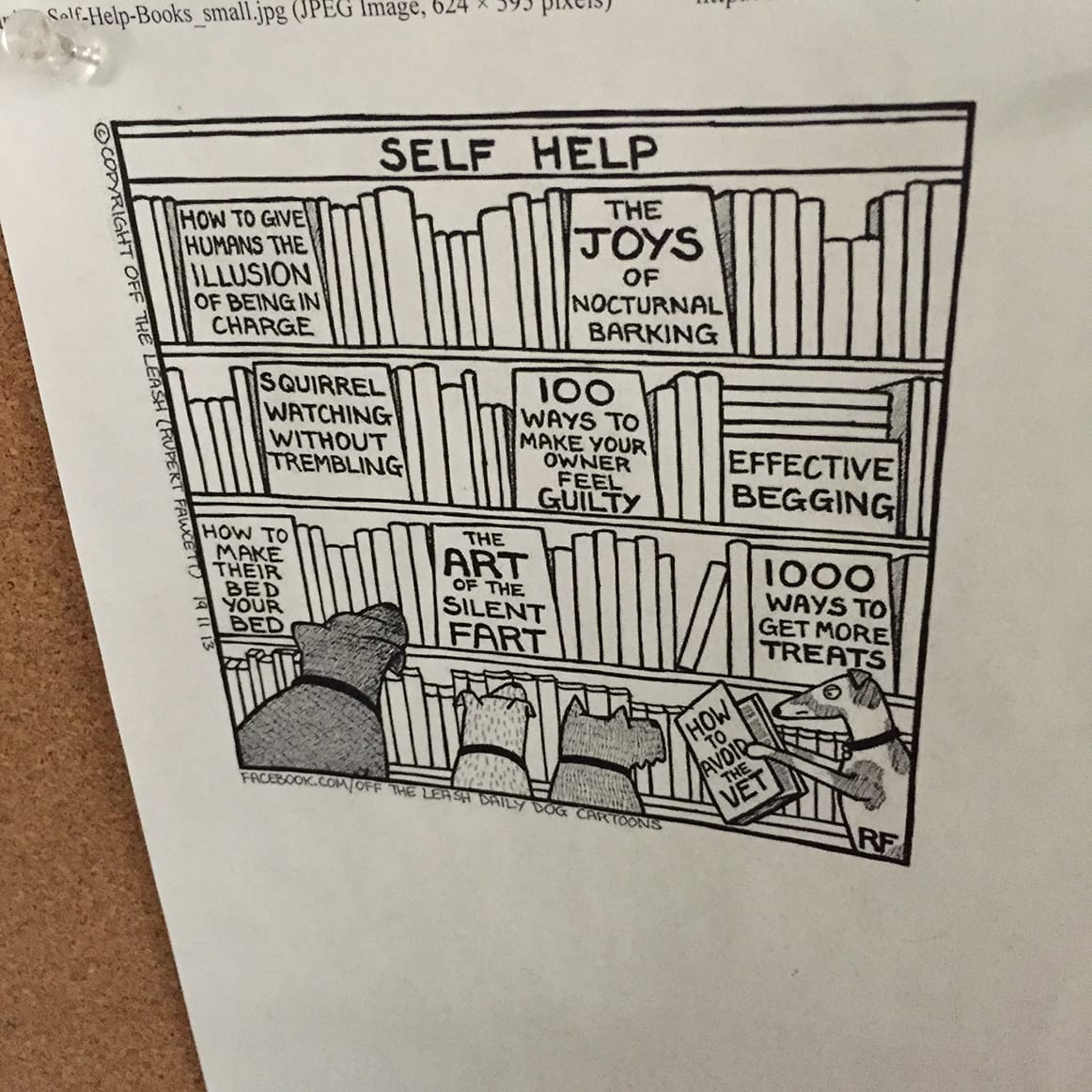 Photo of a THE FAR SIDE ripoff comic panel tacked to corkboard showing dogs looking at titles on a bookshelf labeled "SELF HELP." HOW TO GIVE HUMANS THE ILLUSION OF BEING IN CHARGE - SQUIRREL WATCHING WITHOUT TREMBLING - HOW TO MAKE THEIR BED YOUR BED - THE JOYS OF NOCTURNAL BARKING - 100 WAYS TO MAKE YOUR OWNER FEEL GUILTY - THE ART OF THE FART - EFFECTIVE BEGGING - 1000 WAYS TO GET MORE TREATS