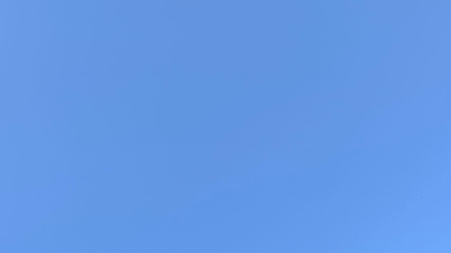 A patch of clear blue sky, very very slightly washed out.