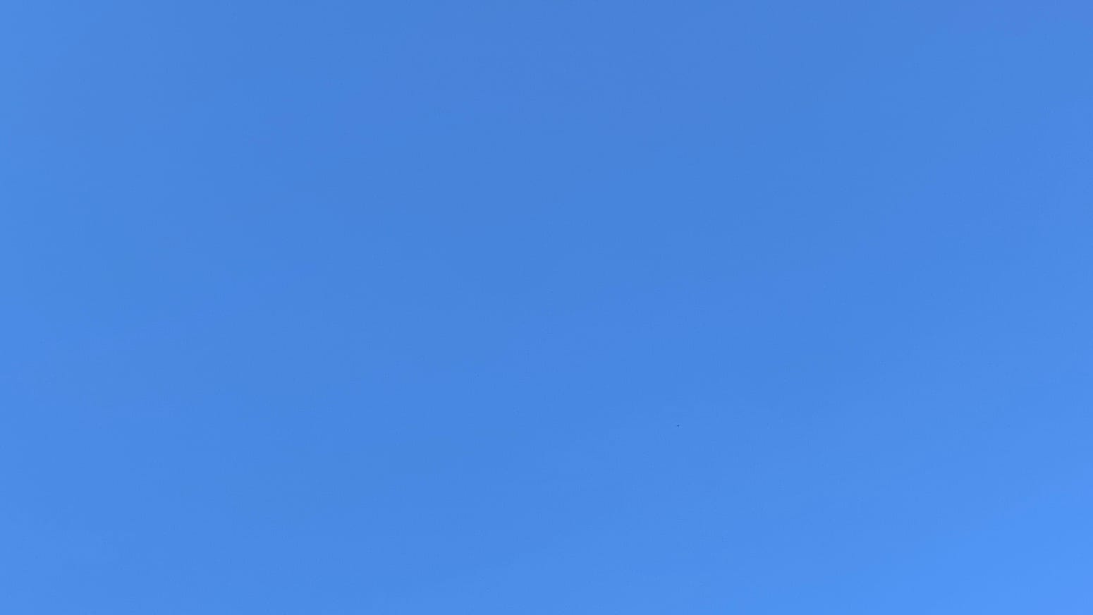 A patch of clear deep blue sky.