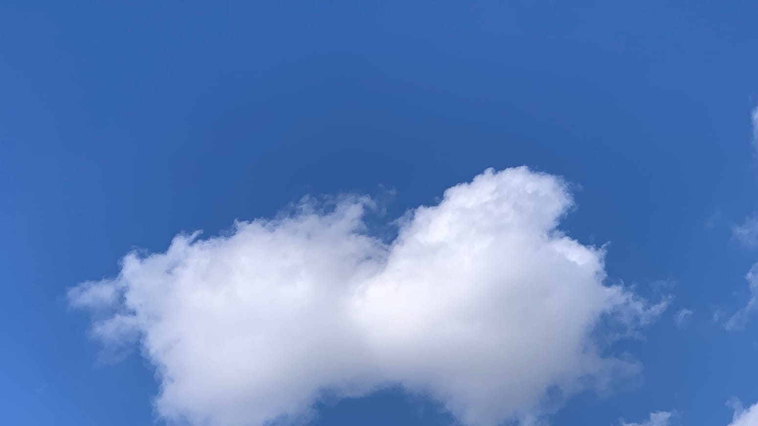 A patch of richly, autumnally blue sky with saddle-shaped cumulus cloud in the lower half of the frame and some more scraps of cumulus to the right of it. 