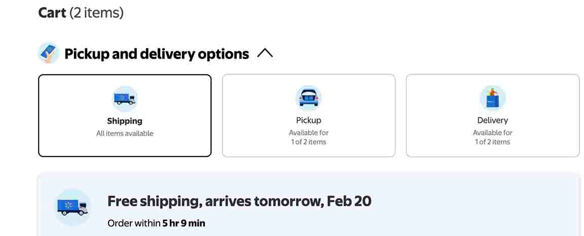 SCREEN CONFIRMING ORDER AND DELIVERY OF FEB 20