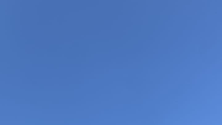 A patch of pure deep-blue sky.