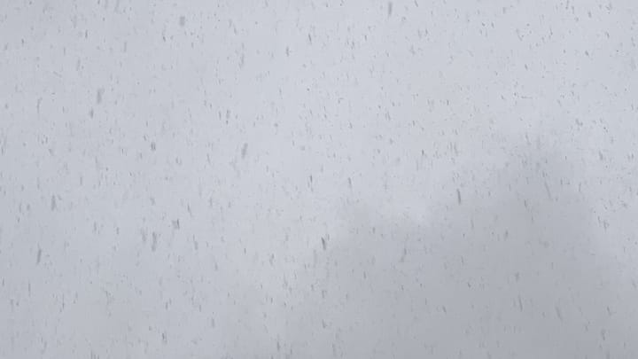 A patch of sky in two indistinctly separated medium-light grays, speckled and streaked with a lot of falling snowflakes. 