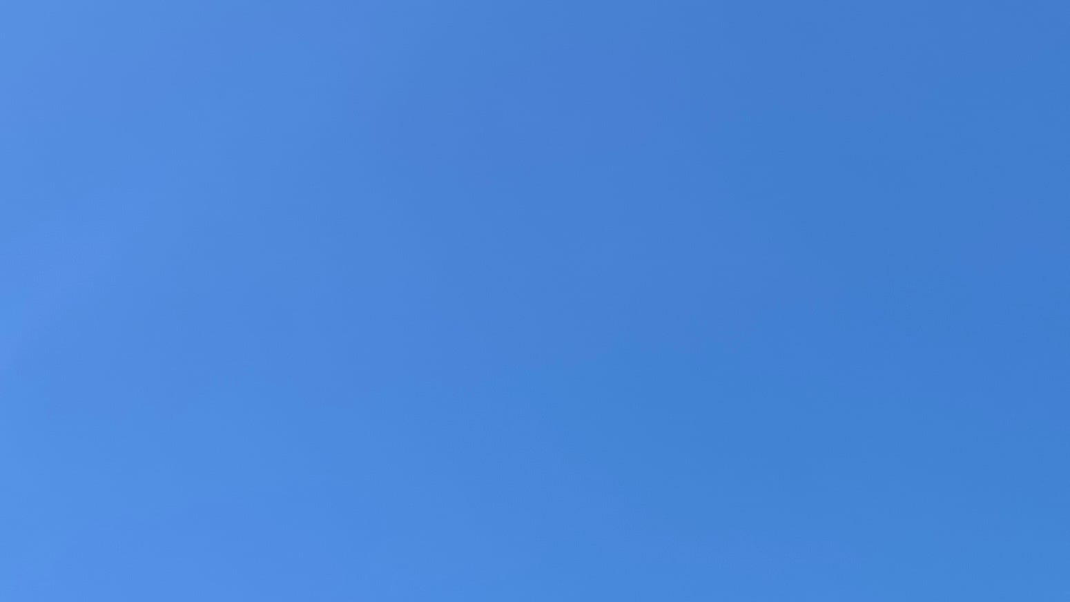 A patch of clear and very blue sky. 