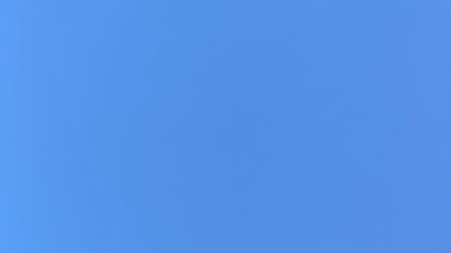 A patch of bright blue sky.