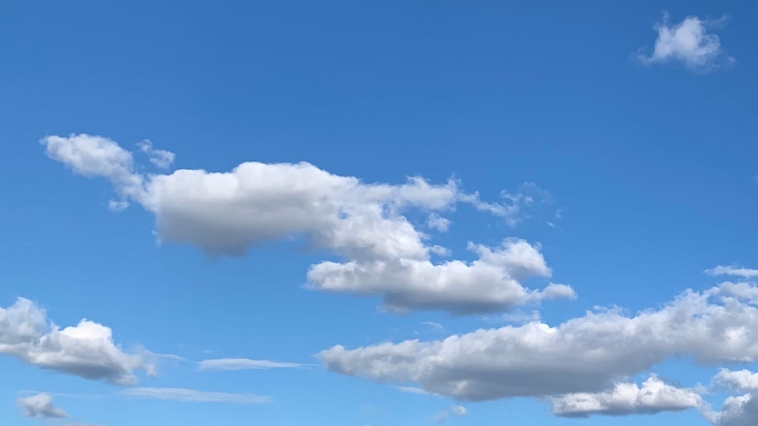 A patch of sky with the lower two-thirds occupied by ranks of flattish cumulus clouds, white with light-to-medium gray bottoms. A stray clump of fractus floats in the top right corner. 