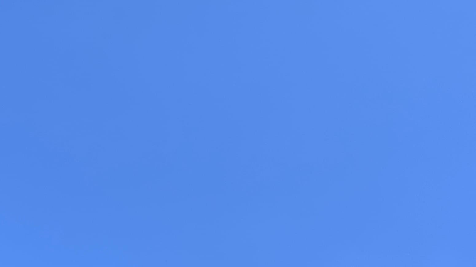 A patch of clear medium-blue sky.