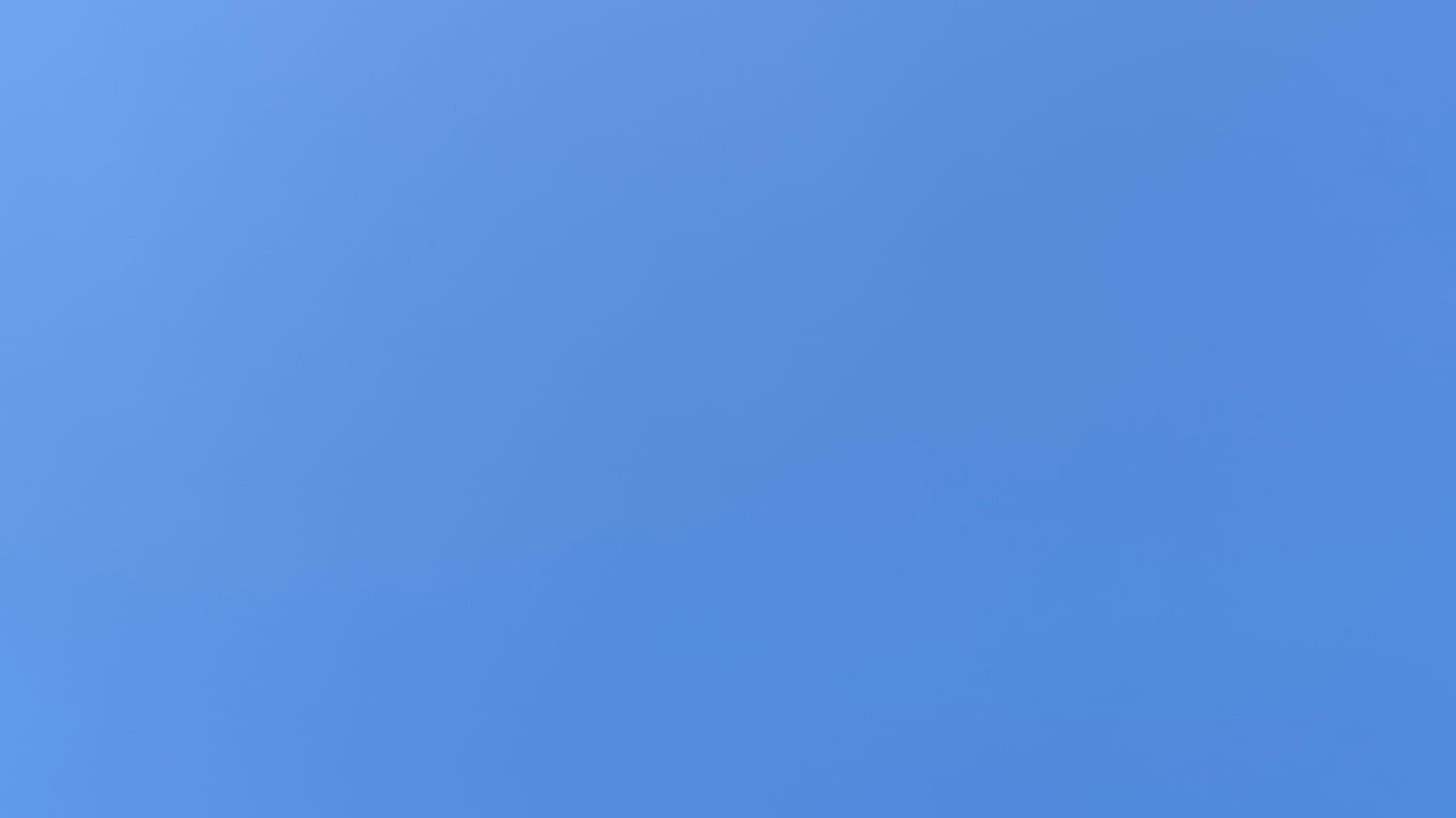 A patch of clear blue sky.