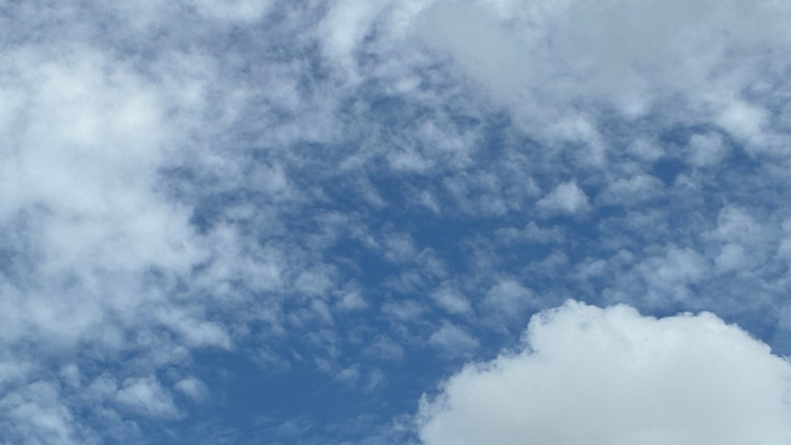 A patch of blue sky densely flecked with white clouds. A more solid and closer rounded white cloud sticks up into the right bottom of the frame. 
