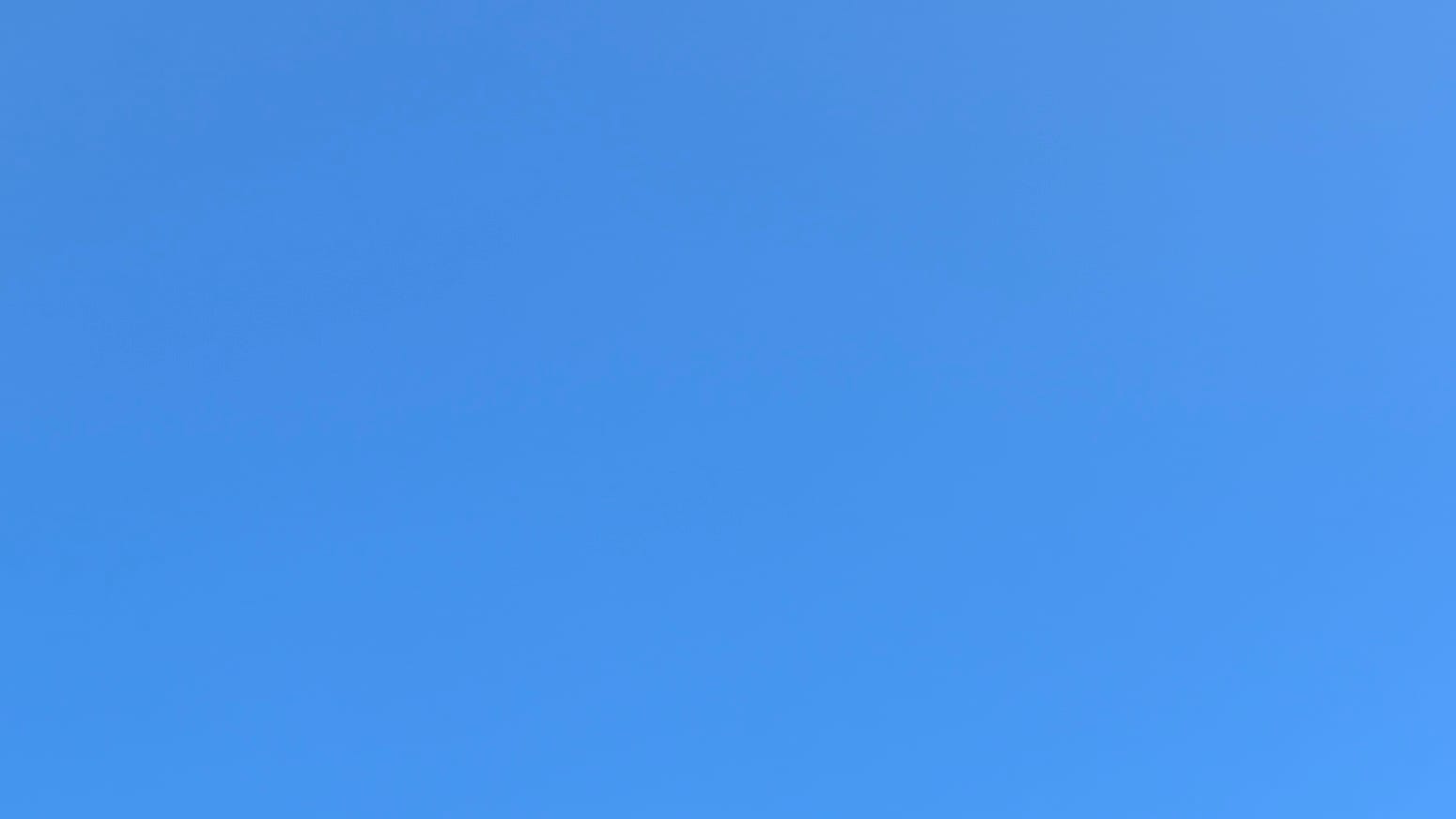 A patch of clear deepish-blue sky.