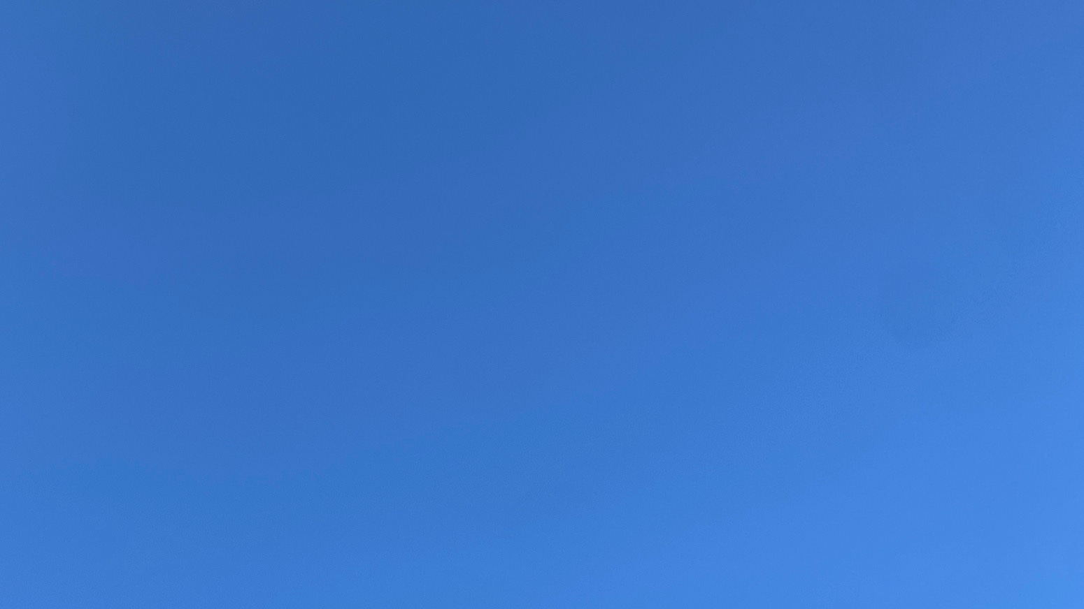 A featureless, bright blue sky.