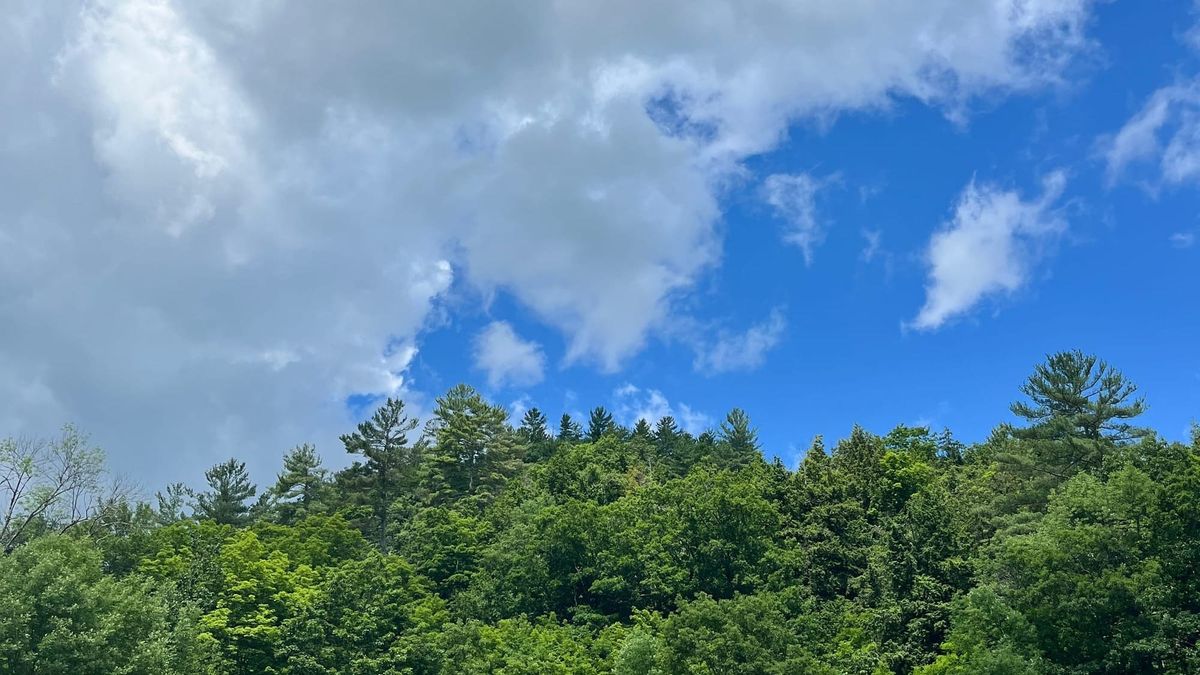 Green trees along a ridge in the Adirondacks reaching up towards a partly cloudy brilliant blue and white sky
