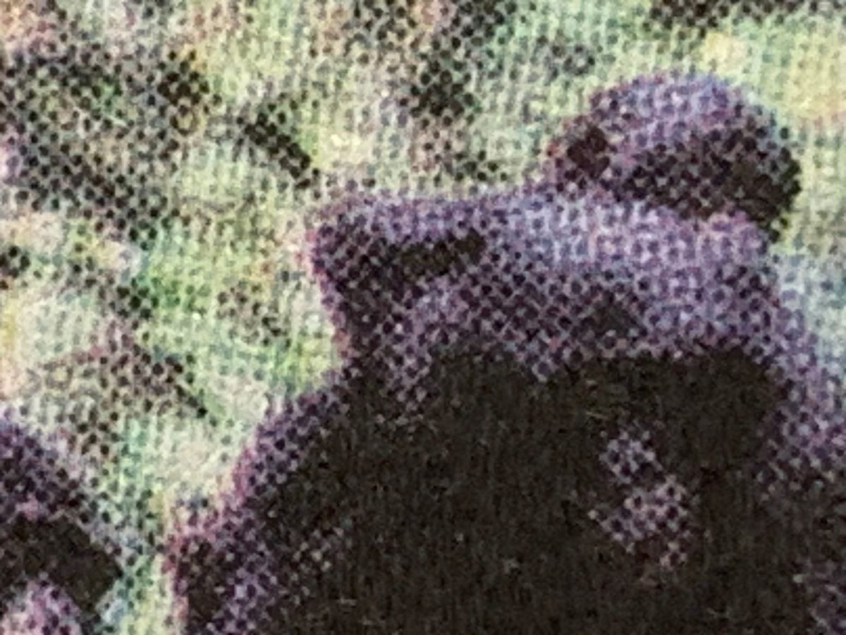 Indignity Morning Podcast No. 471: A famous technical term.