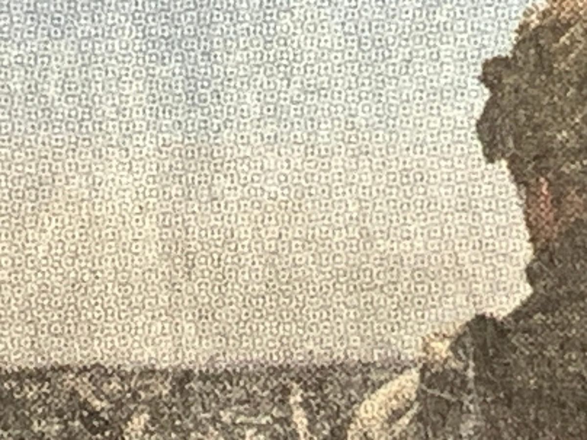 Indignity Morning Podcast No. 483: Institutional commitment to euphemism.