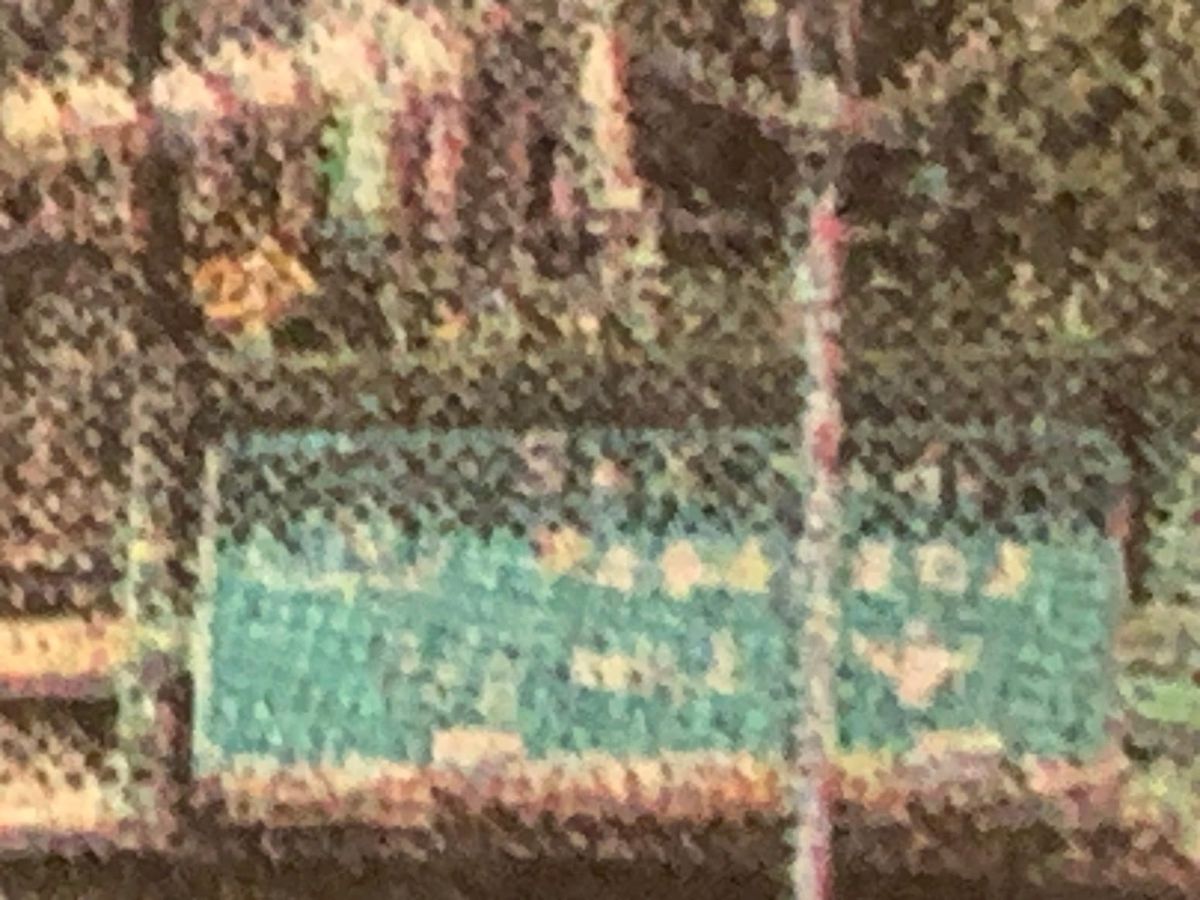 Indignity Morning Podcast No. 497: An expert on defense policy.