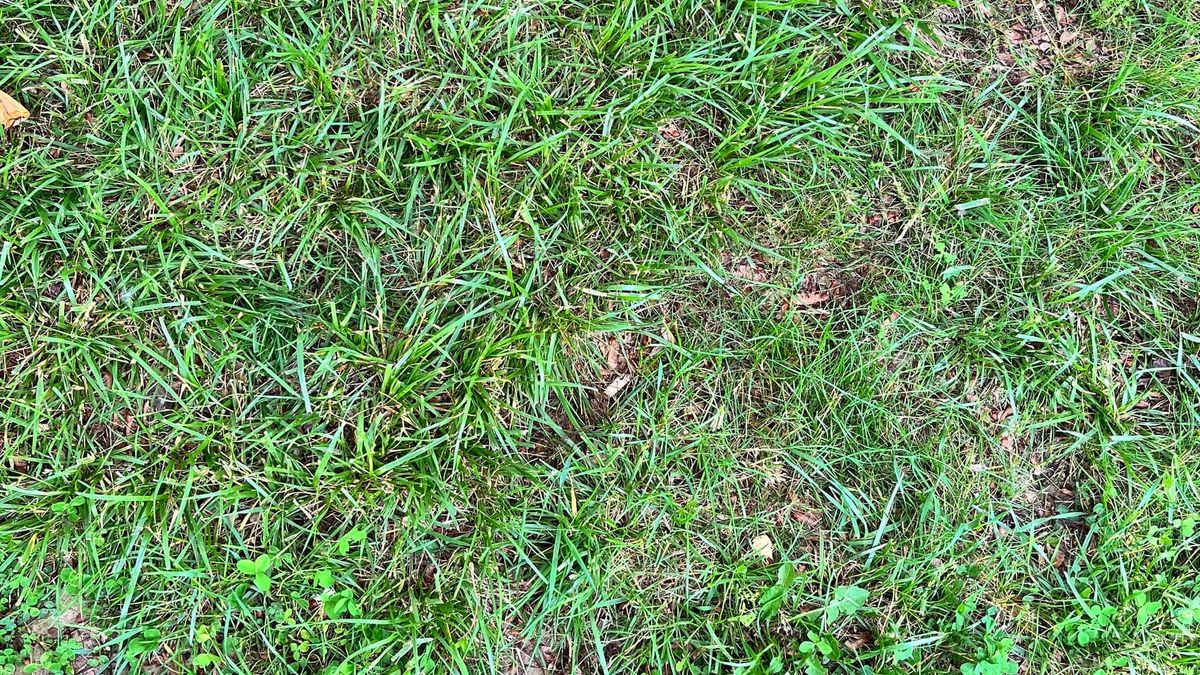 SUMMER FRIDAYS DEP'T.: Easy season