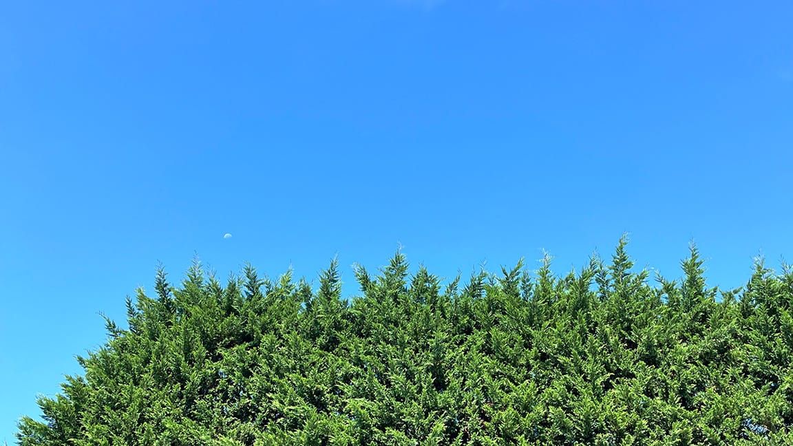 SUMMER FRIDAYS DEP'T.: If we were a fast-food joint on the Turnpike we wouldn't take the day off like this