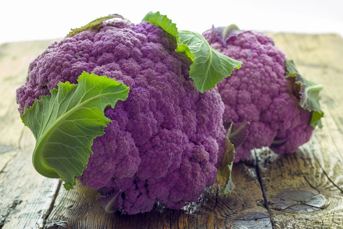 Purple cauliflower