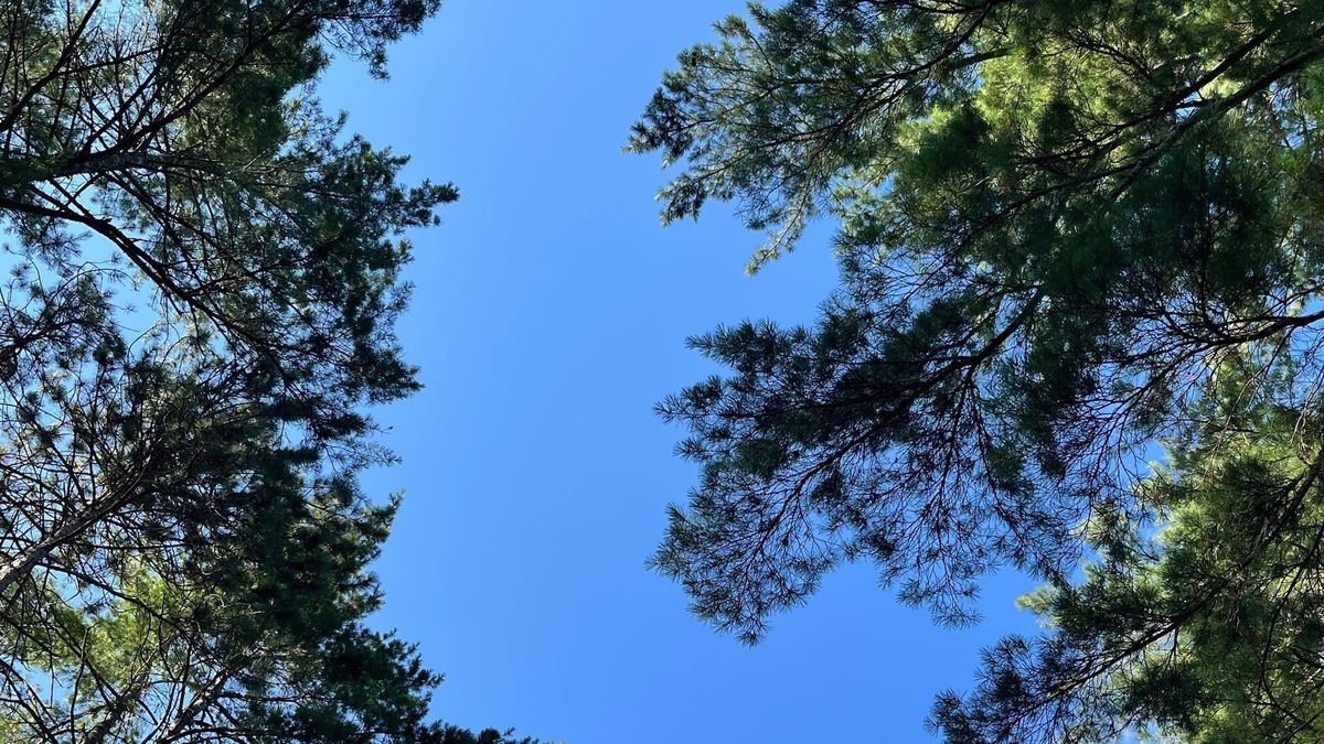 SUMMER FRIDAYS DEP'T.: Friday on Thursday