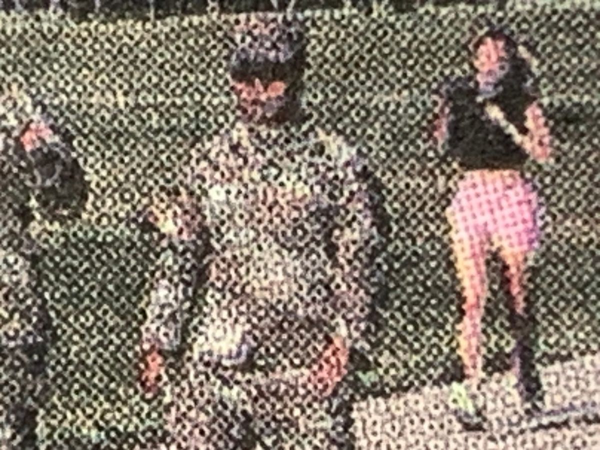 Indignity Morning Podcast No. 514:  Absolute inanity.